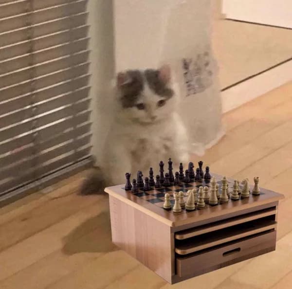 chess