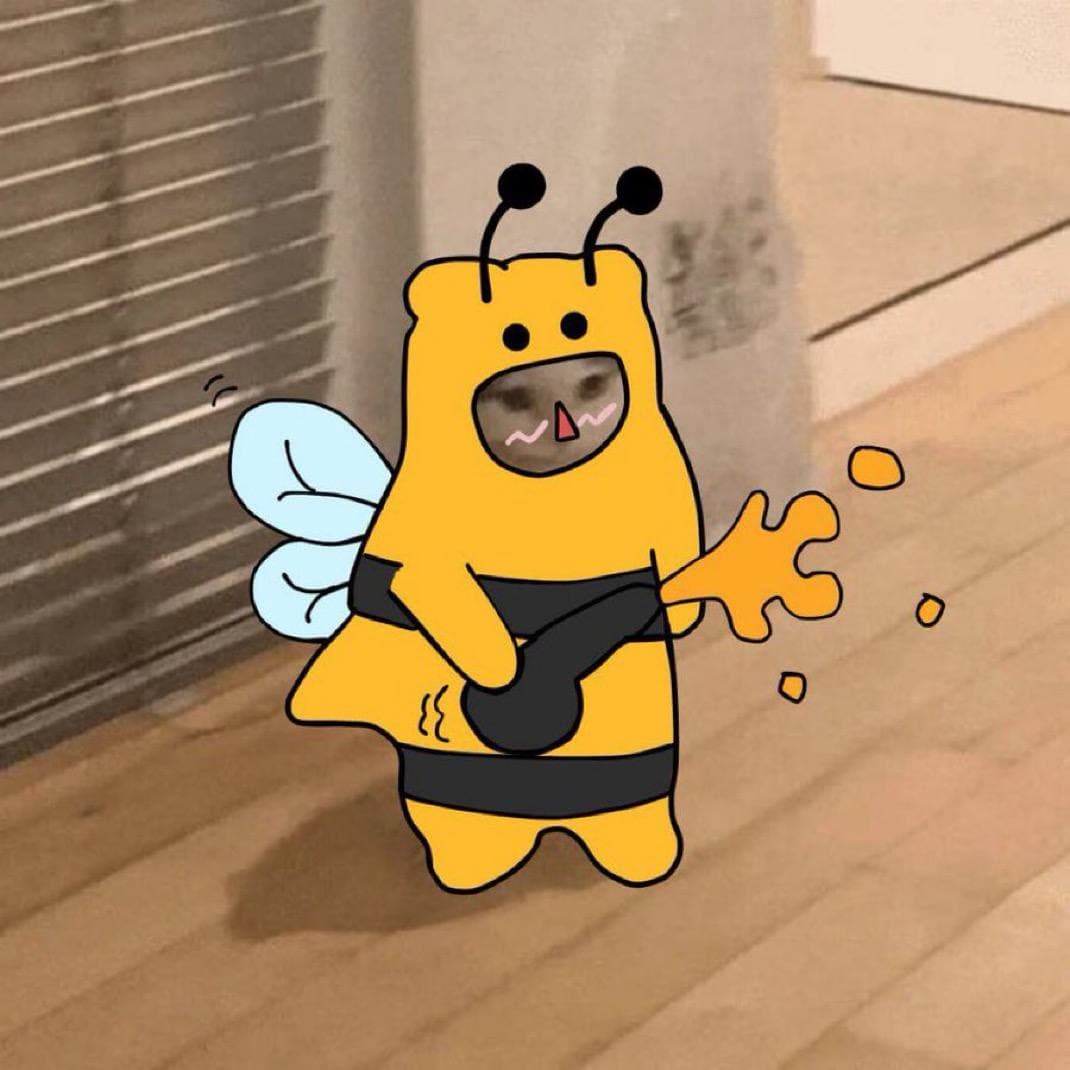 bee honey