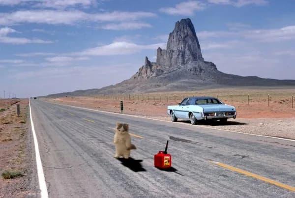 gas desert