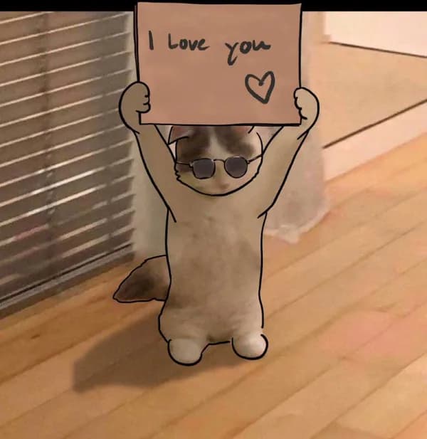 love