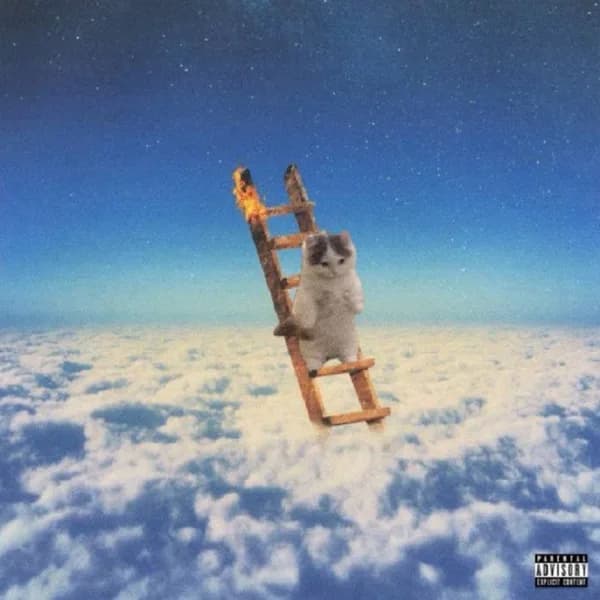 ladder heaven sky