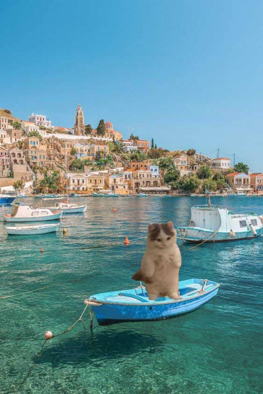 paddle board ocean water