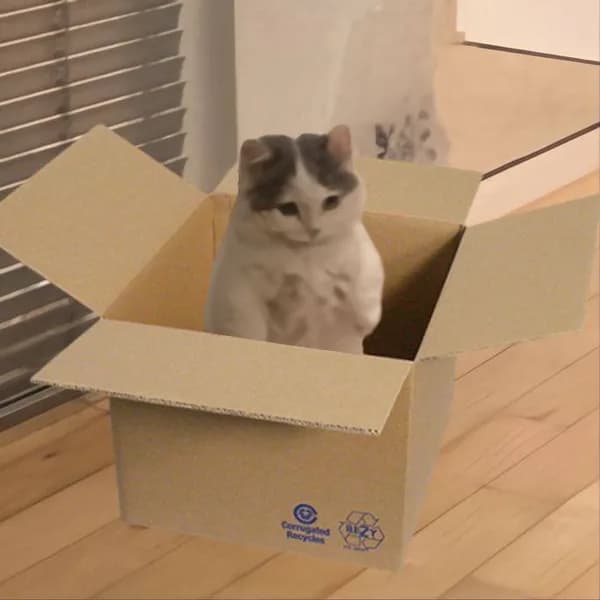 box
