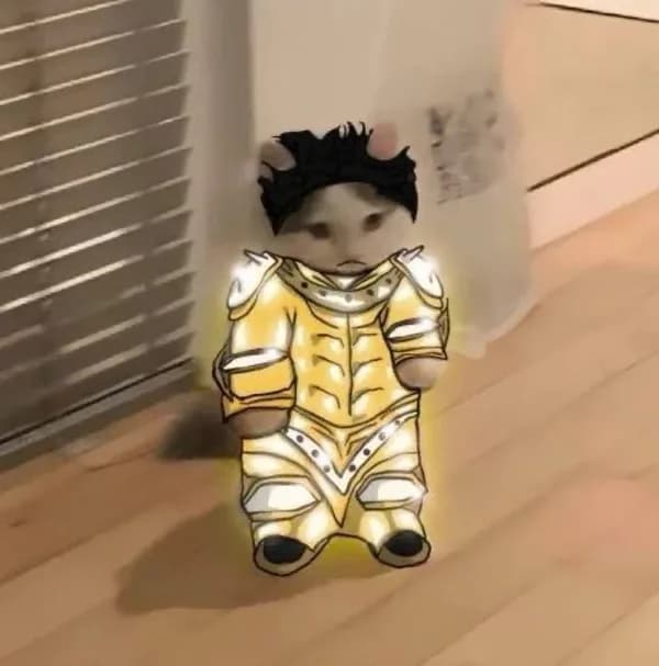 armor shiny