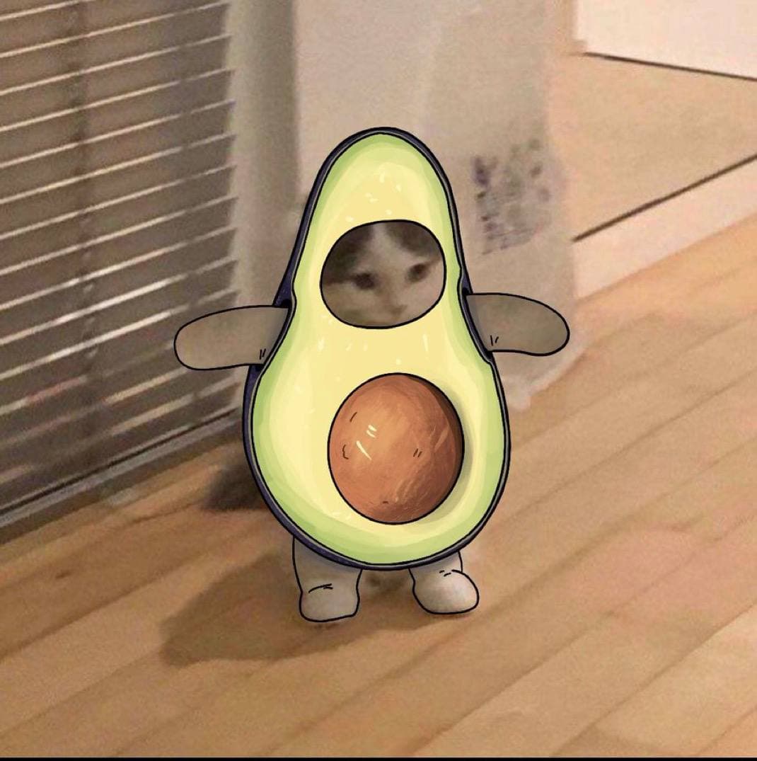 avocado cute food