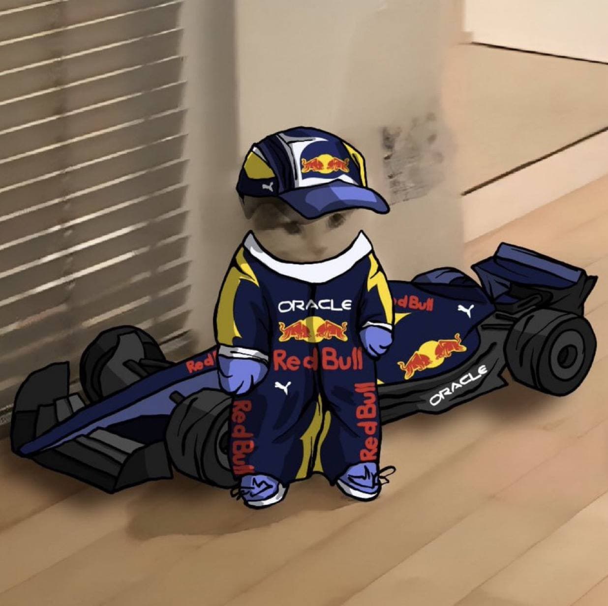 f1 race racecar redbull mclaren