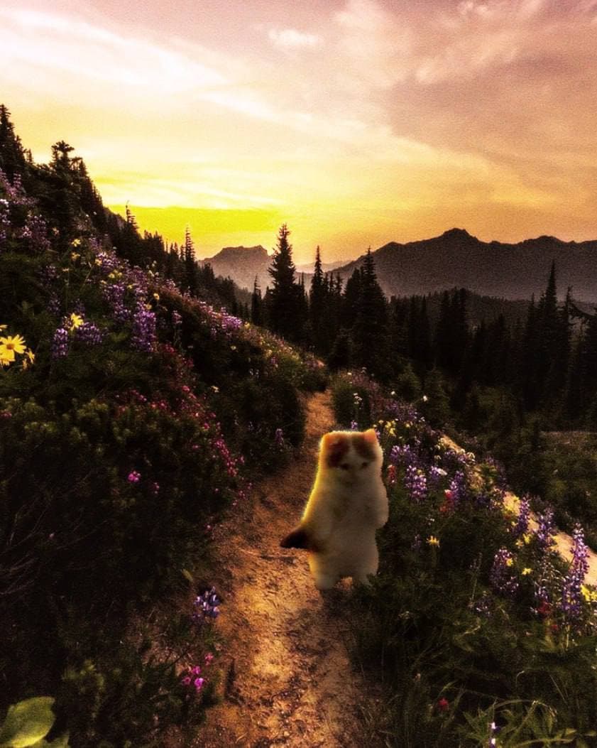 sunset field outdoors mountain