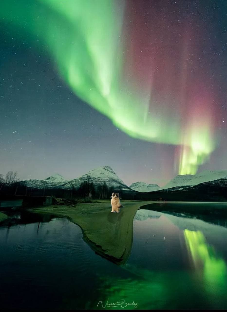 northern lights scenic mood