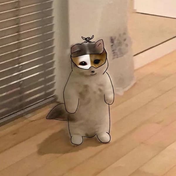 popcat