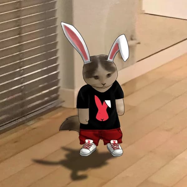 rabbitx exchanges