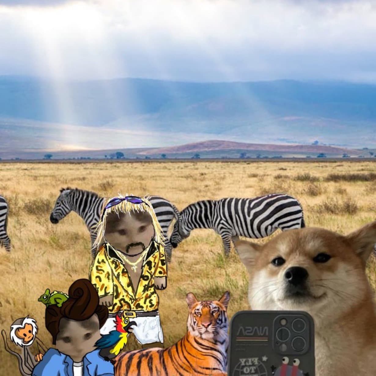 safari selfie animals zebra outdoors