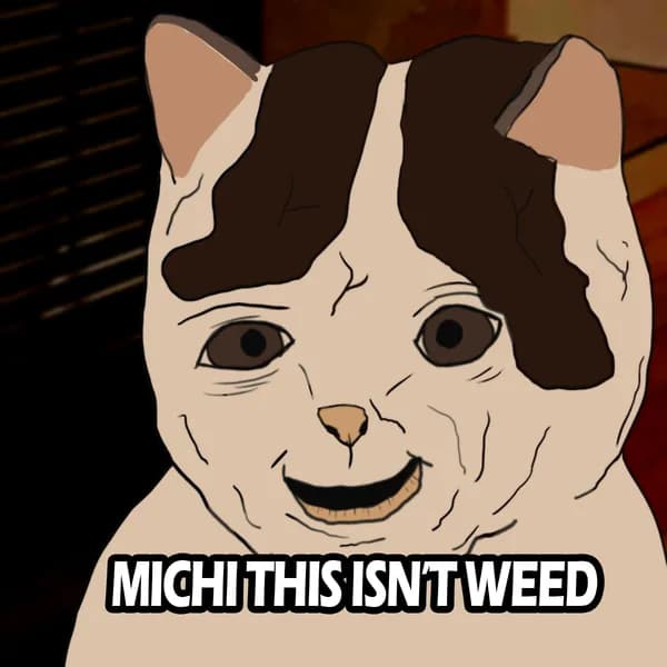 shaggy weed funny pot