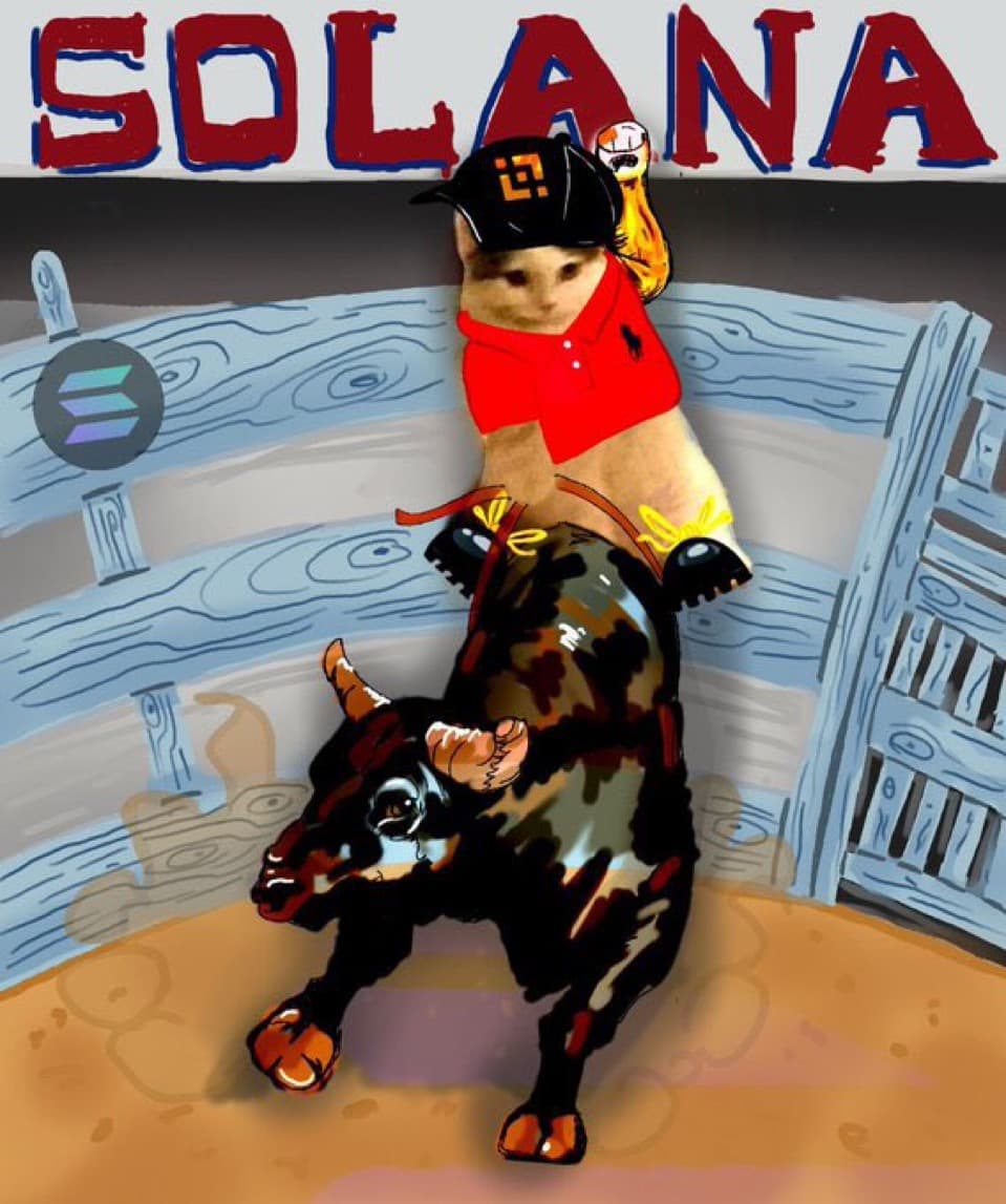 solanabull wagmichi hat