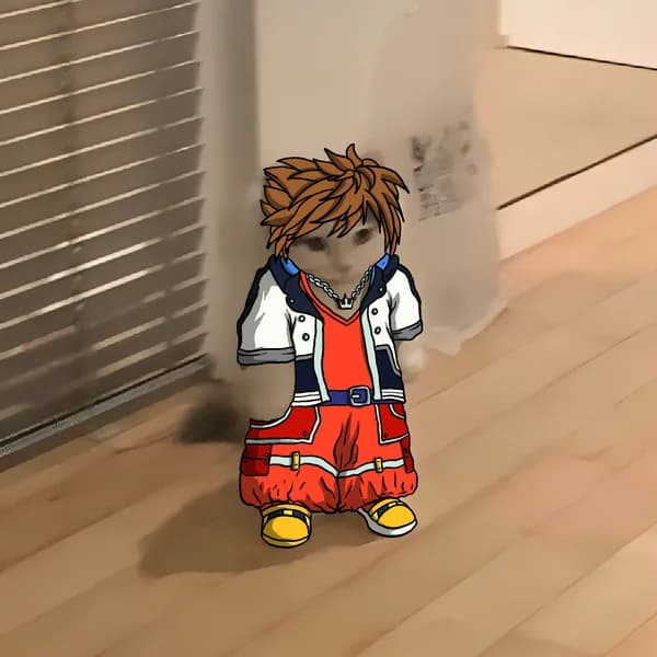 sora kingdomhearts gaming games