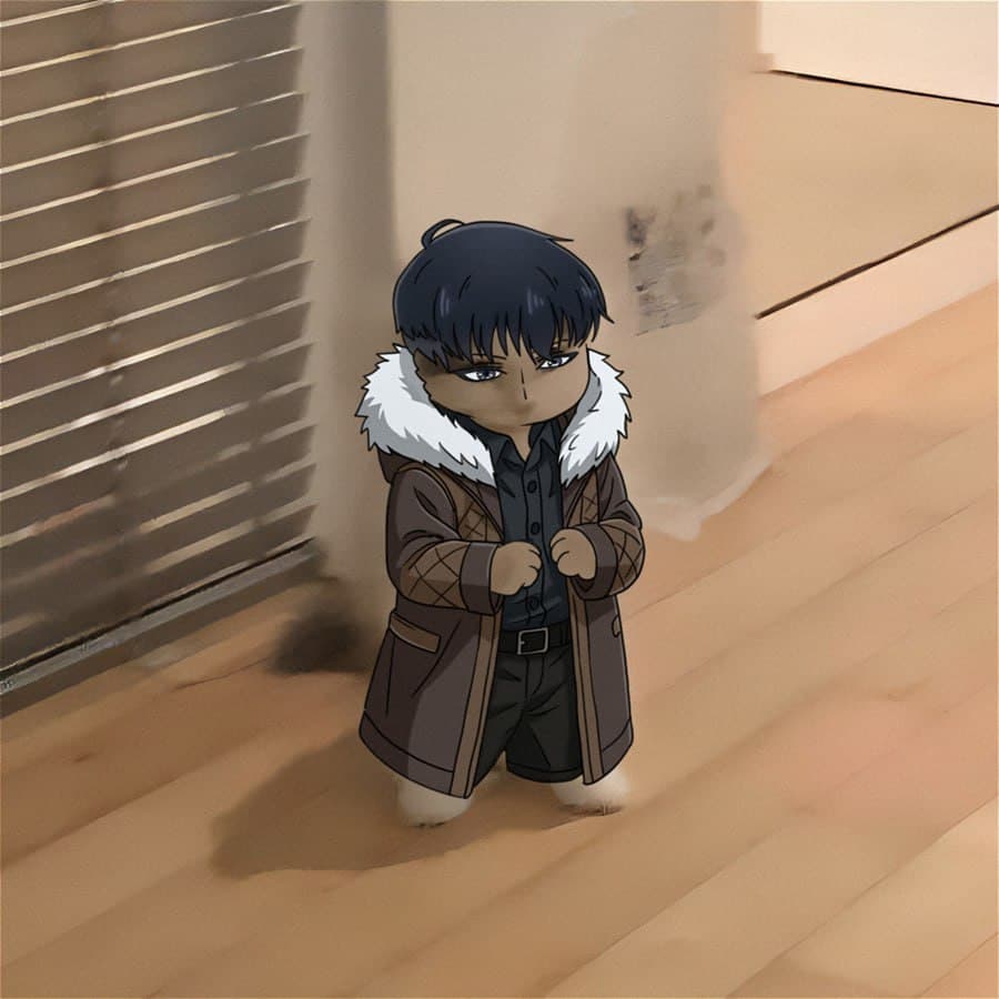 sungjinwoo coat solo leveling sololeveling manhwa anime 