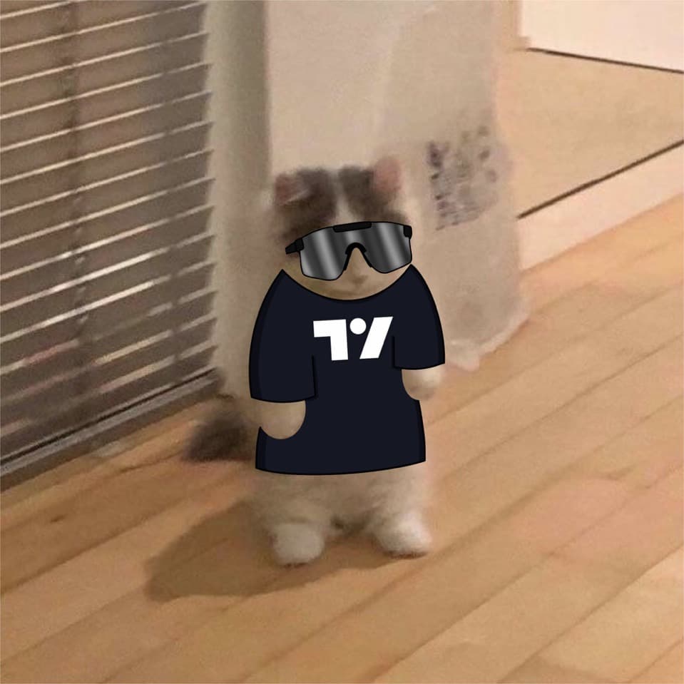 tradingview sunglasses