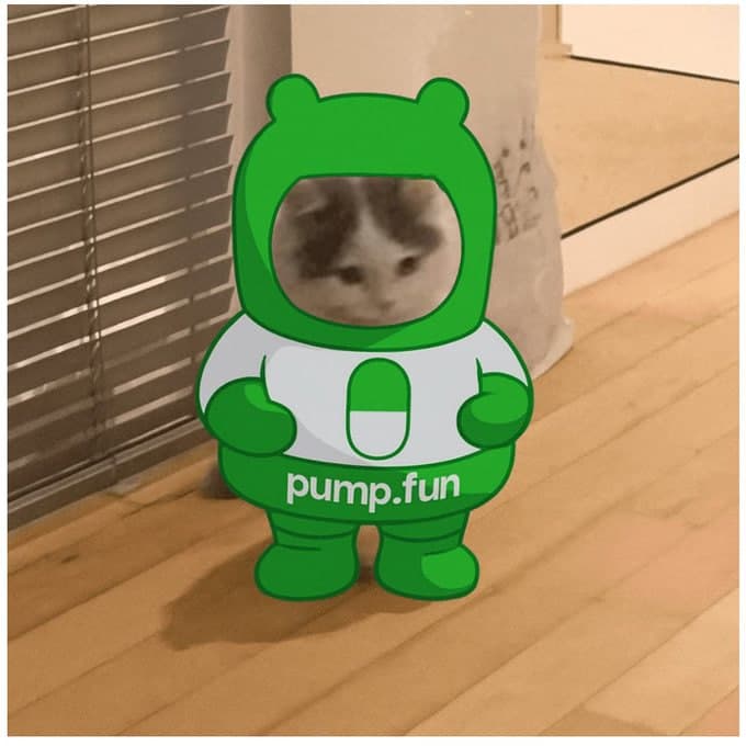 Michi in Pump.fun ICO video